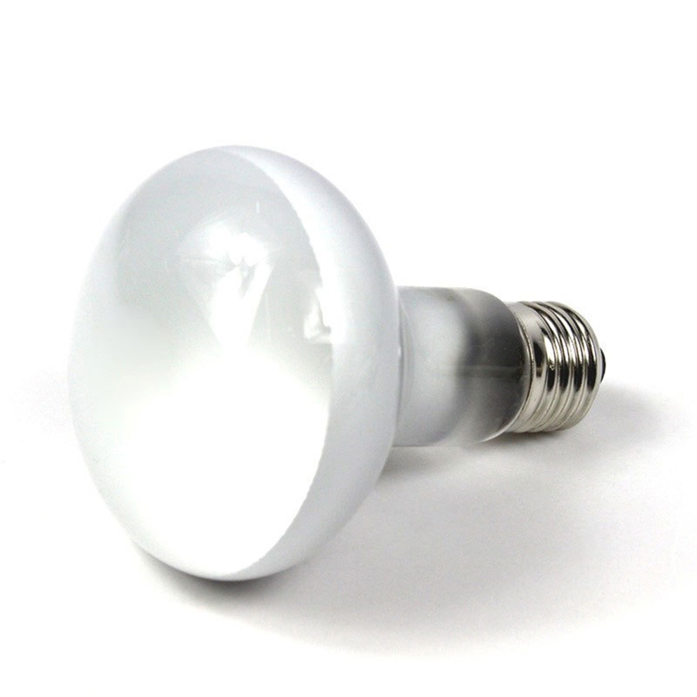 หลอดไฟฮาโลเจนให้ความร้อนสำหรับ - Basking Bulb Halogen บทวิจารณ์และราคา