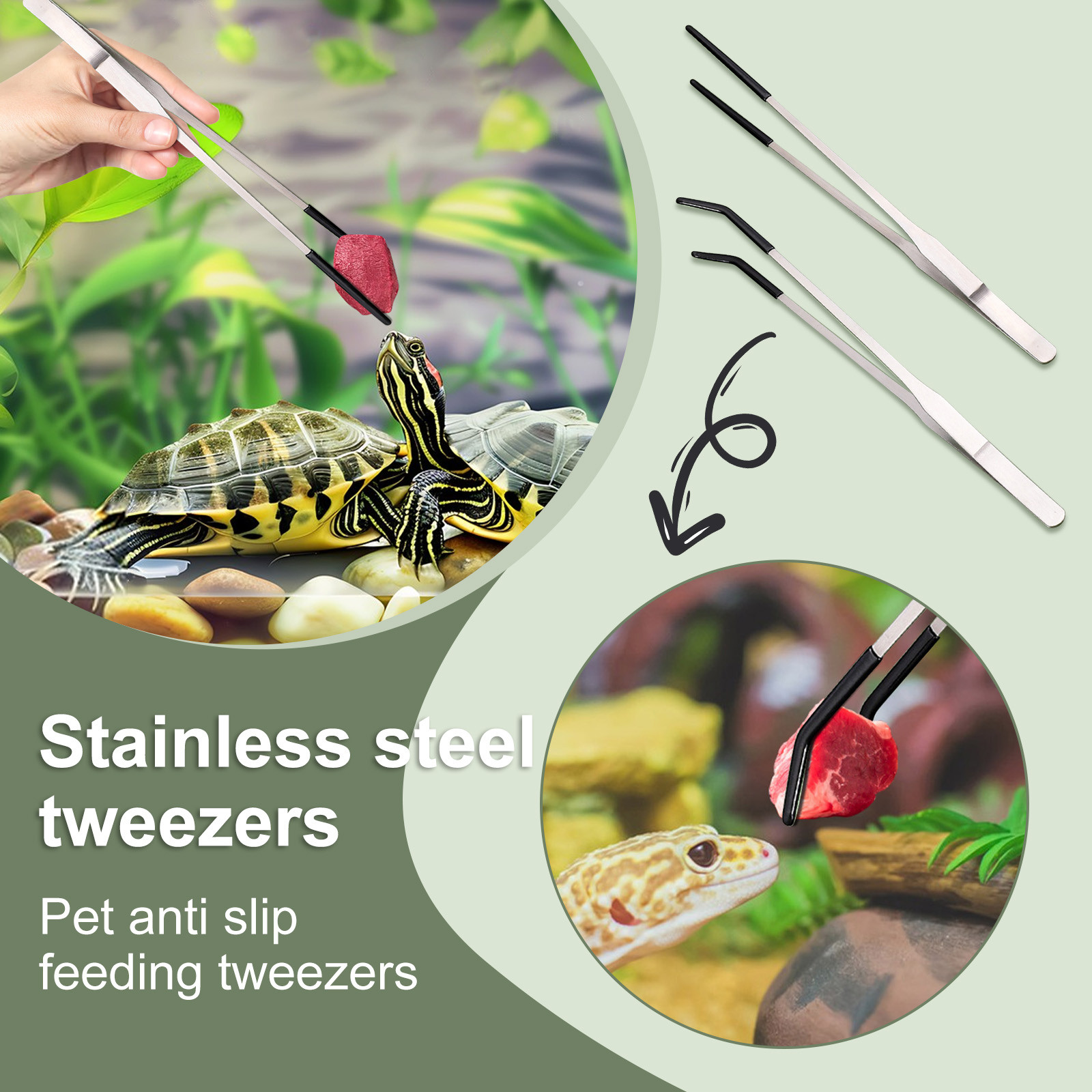 สแตนเลสสัตว์เลื้อยคลานให้อาหาร - Water Dish Reptile บทวิจารณ์และราคา