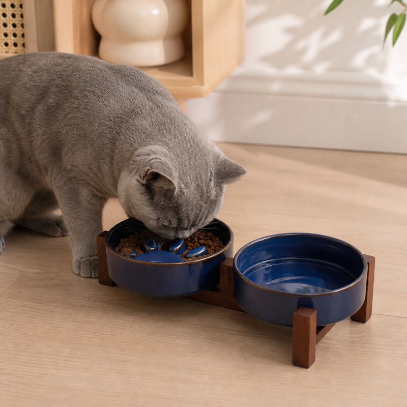 สไตล์ญี่ปุ่นเตาเผาเซรามิคชามแม - Royal Canin Food Medium บทวิจารณ์และราคา